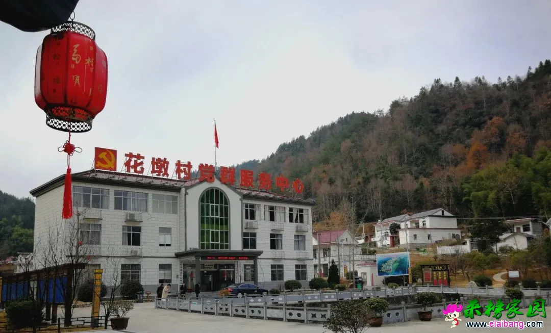 来榜印象之野趣花墩