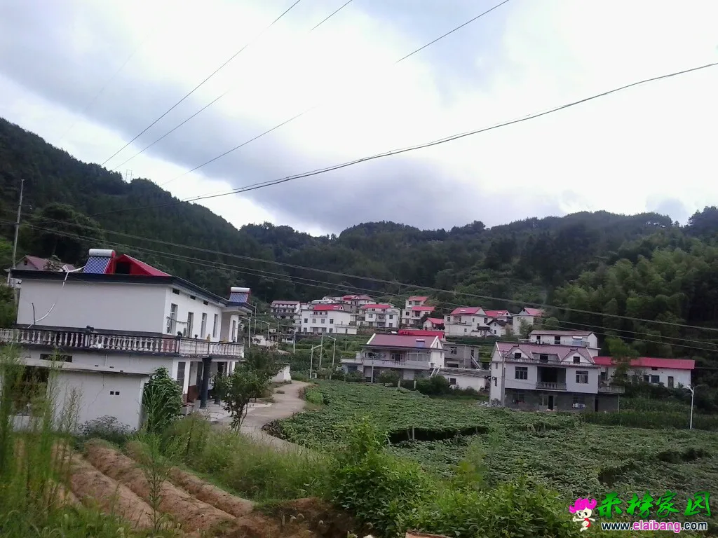 秀美山村——赵湾
