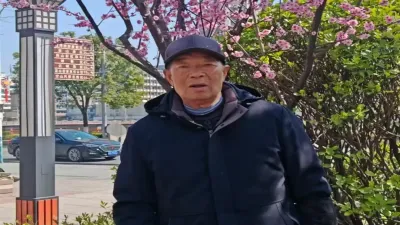 小院春光、玉兰花开