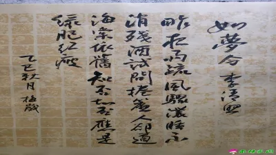 如夢令   李清照