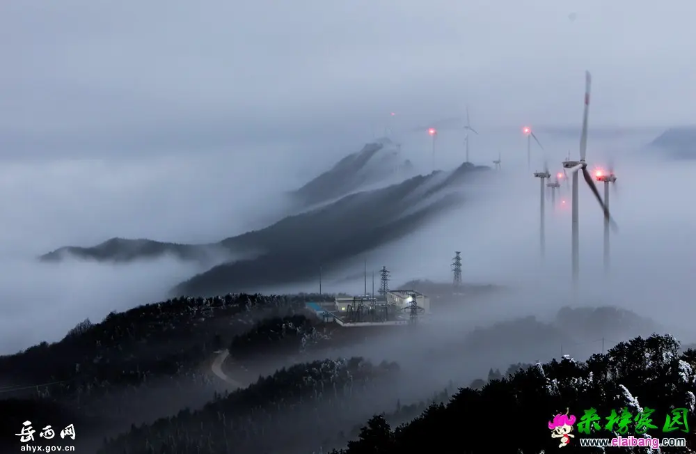牛草山：风雪中的童话世界