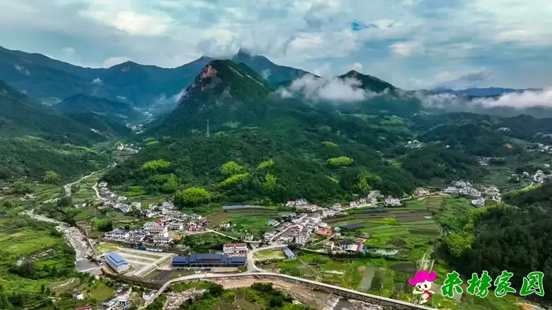 整乡运营，和平探路