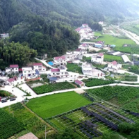黄泥村